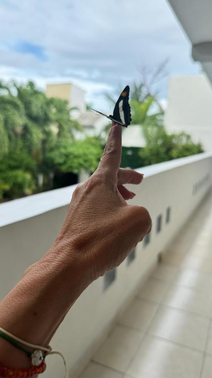 Hotel Balxiba Playa del Carmen Luaran gambar